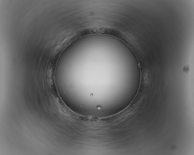 X0000113991060200910021217