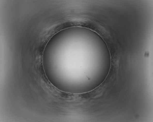 X0000113991061200910021217