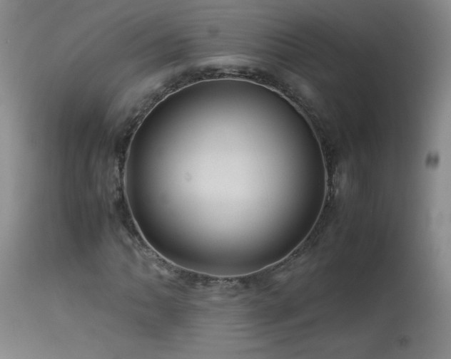 X0000113991062200910021217