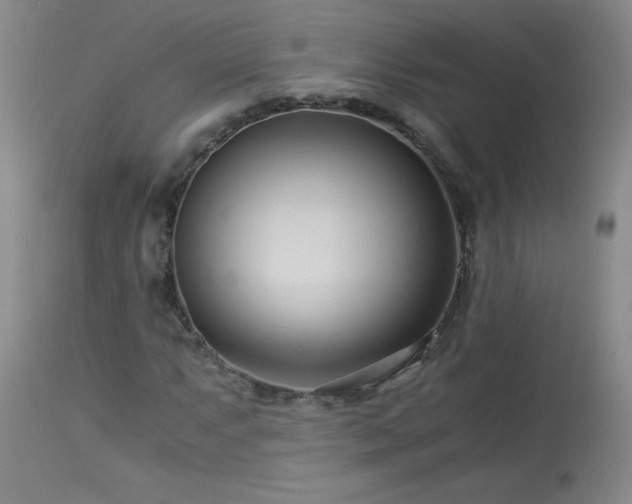 X0000113991063200910021217