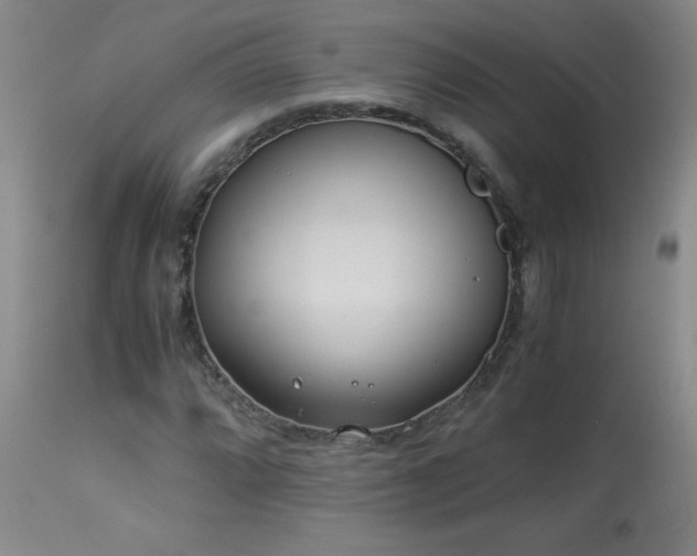 X0000113991064200910021217