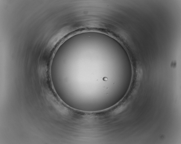 X0000113991065200910021217