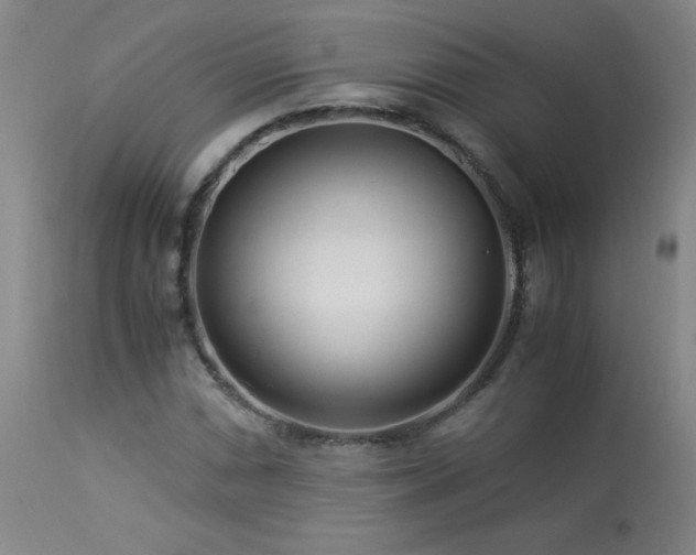 X0000113991066200910021217