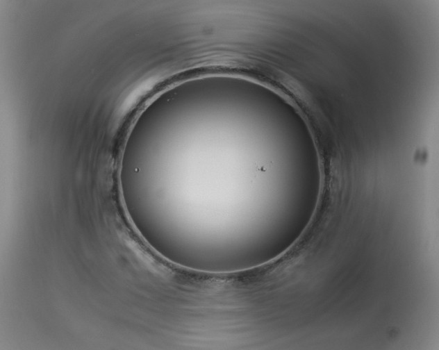 X0000113991067200910021217