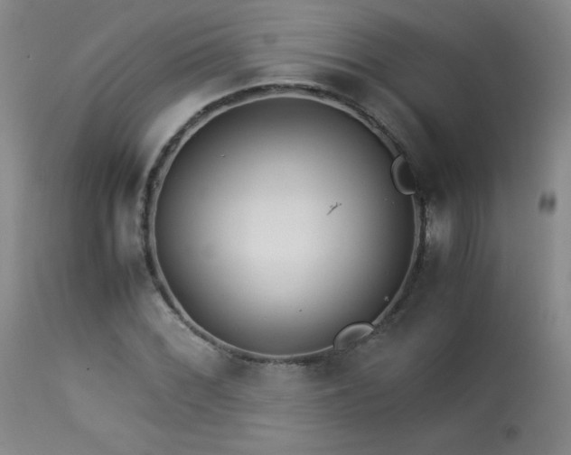 X0000113991068200910021217