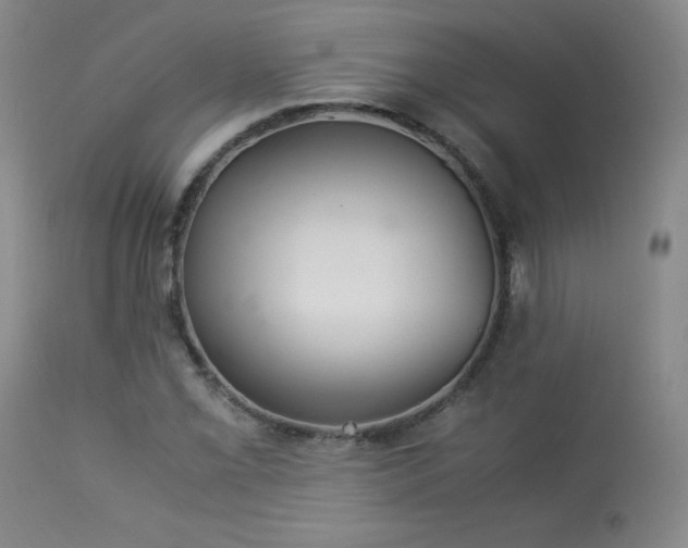 X0000113991069200910021217