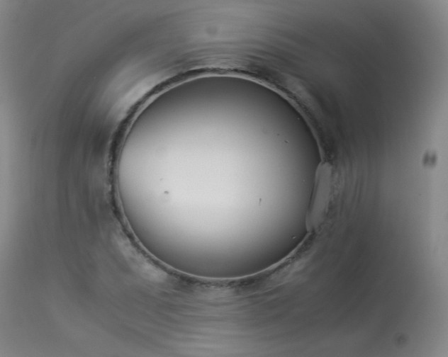 X0000113991071200910021217