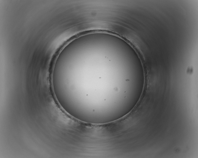 X0000113991072200910021217