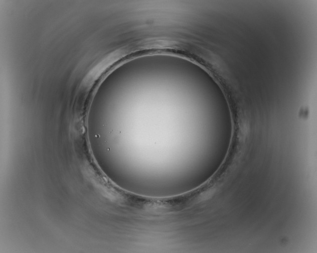 X0000113991073200910021217