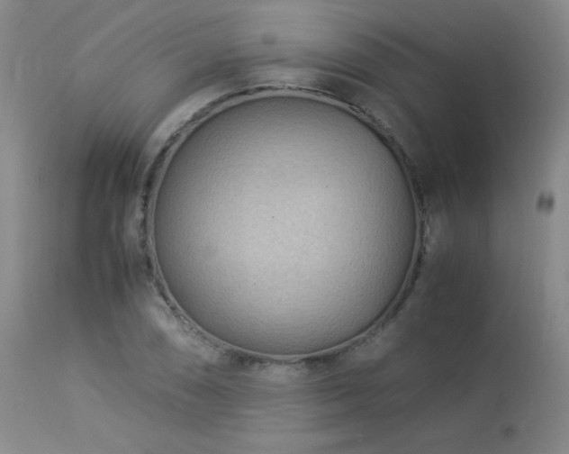 X0000113991074200910021217