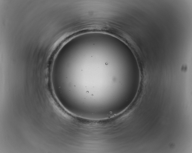 X0000113991075200910021217