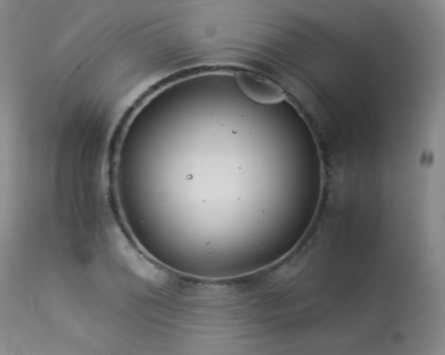 X0000113991076200910021217