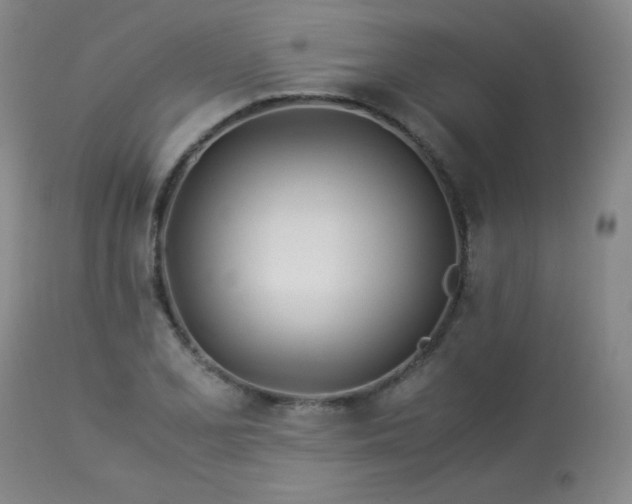 X0000113991077200910021217