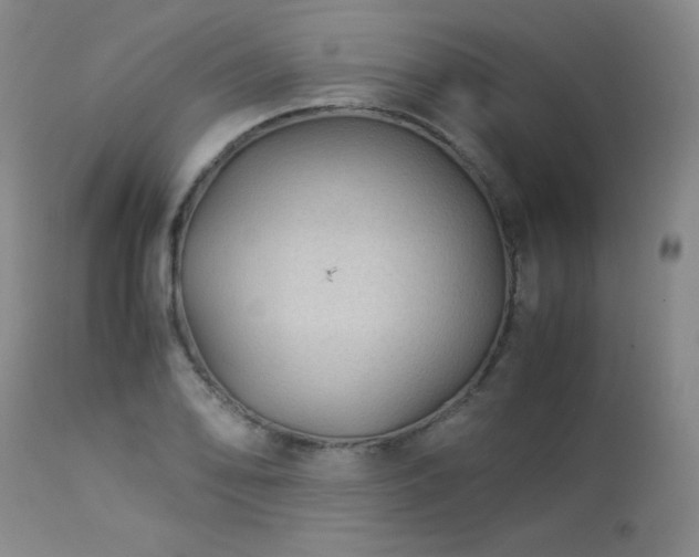 X0000113991078200910021217