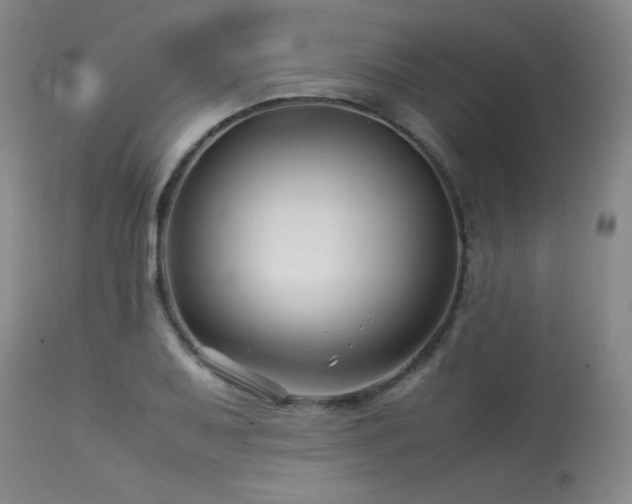 X0000113991079200910021217