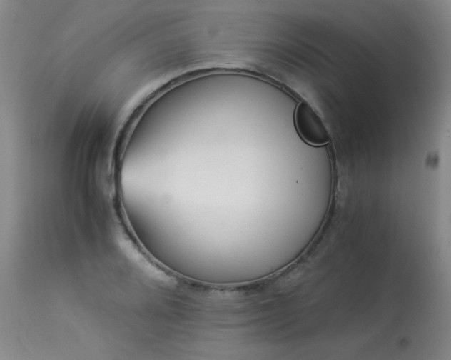 X0000113991080200910021217