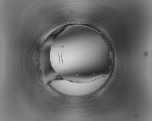 X0000113991081200910021217