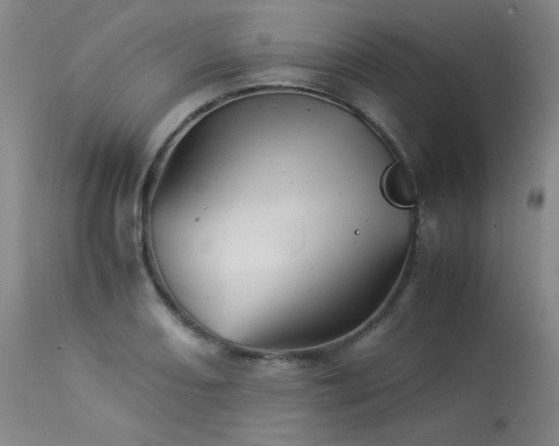 X0000113991082200910021217