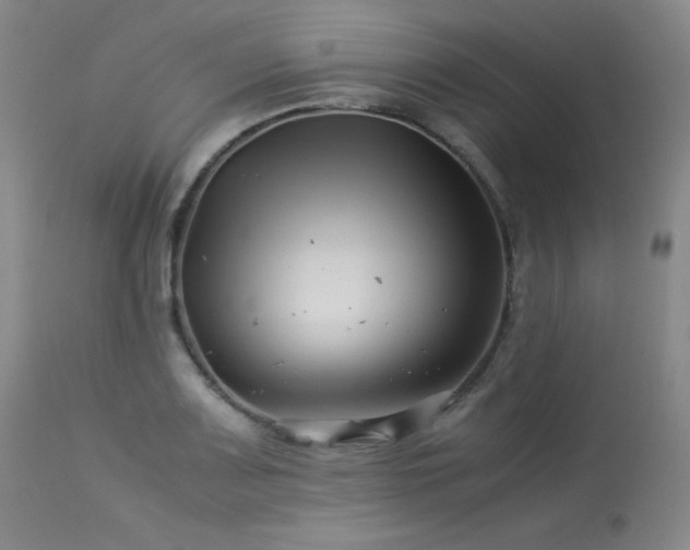 X0000113991083200910021217