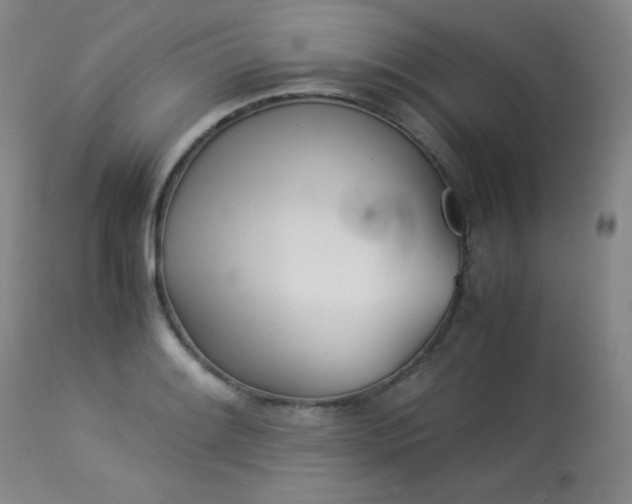 X0000113991084200910021217