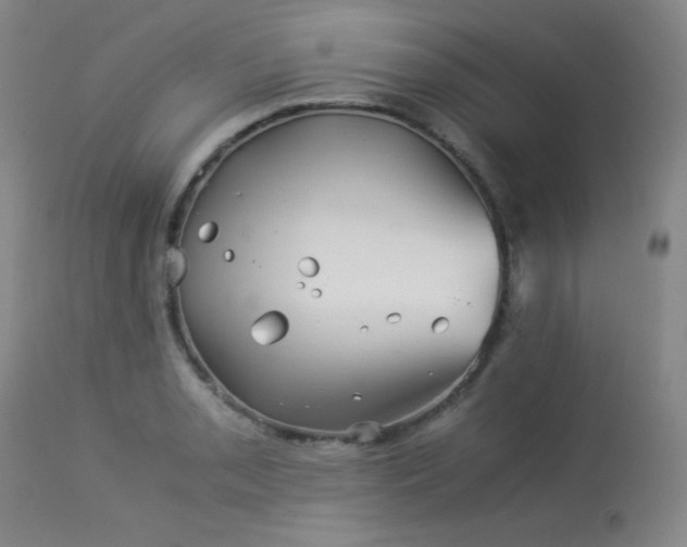 X0000113991085200910021217