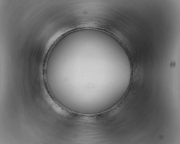 X0000113991086200910021217