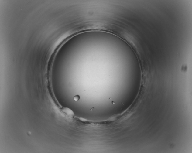 X0000113991087200910021217