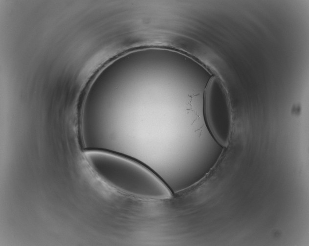 X0000113991088200910021217