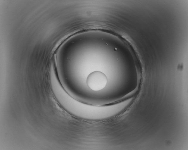 X0000113991089200910021216