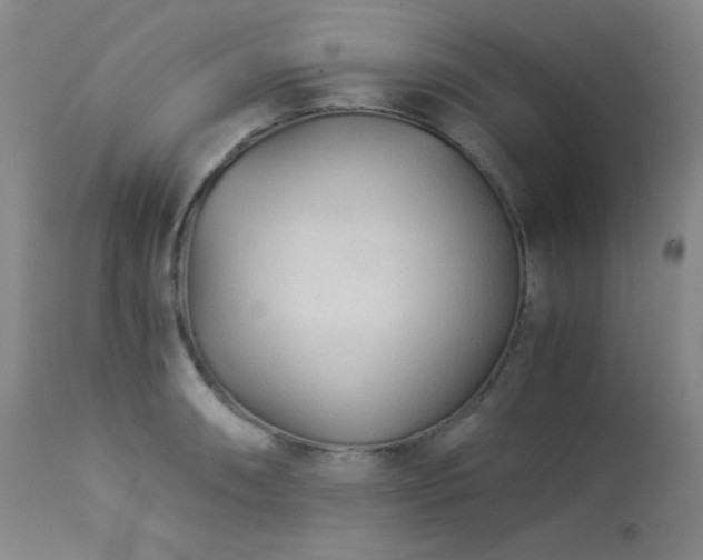 X0000113991090200910021216