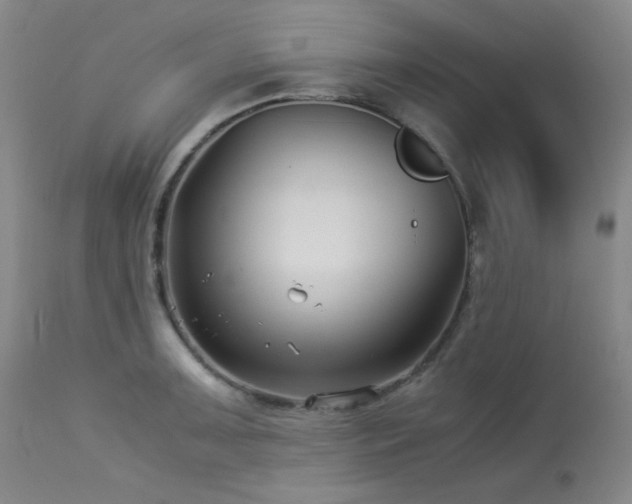 X0000113991091200910021216