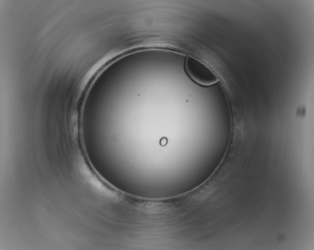 X0000113991092200910021216