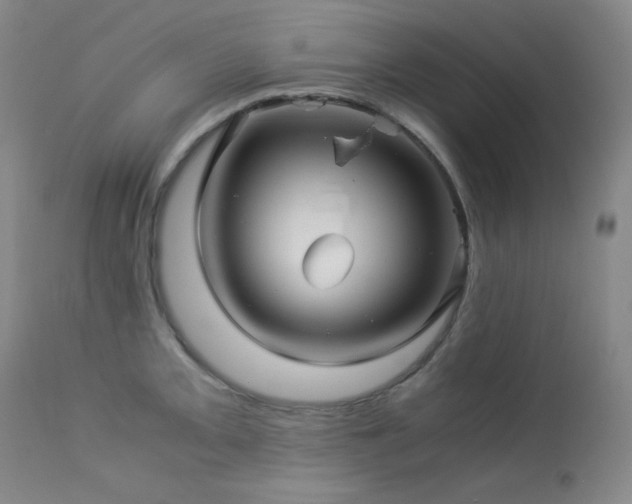 X0000113991093200910021216