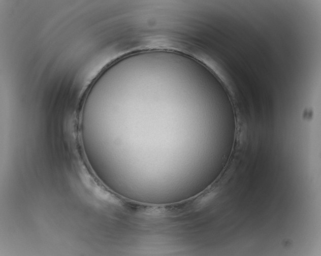 X0000113991094200910021216