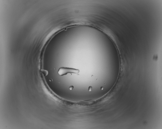 X0000113991095200910021216