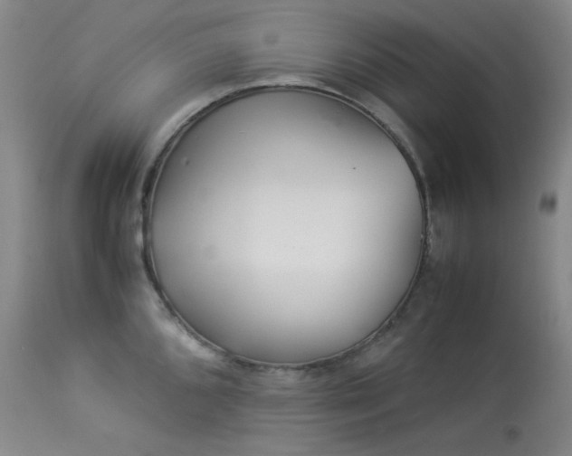 X0000113991096200910021216