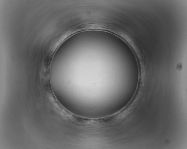 X0000113991097200910021216