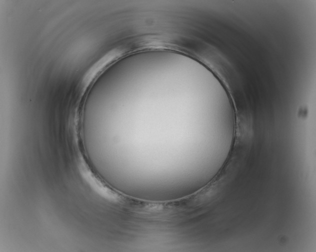 X0000113991098200910021216