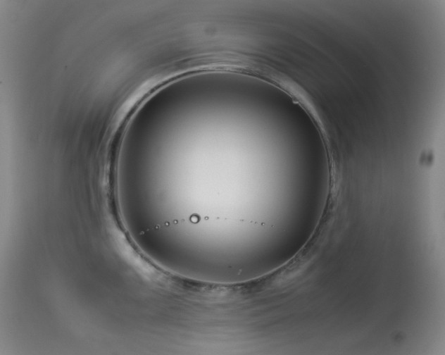 X0000113991099200910021216