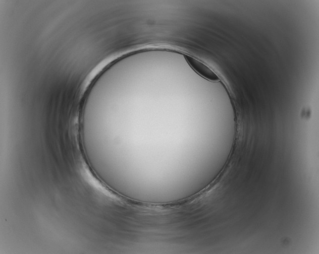 X0000113991100200910021216