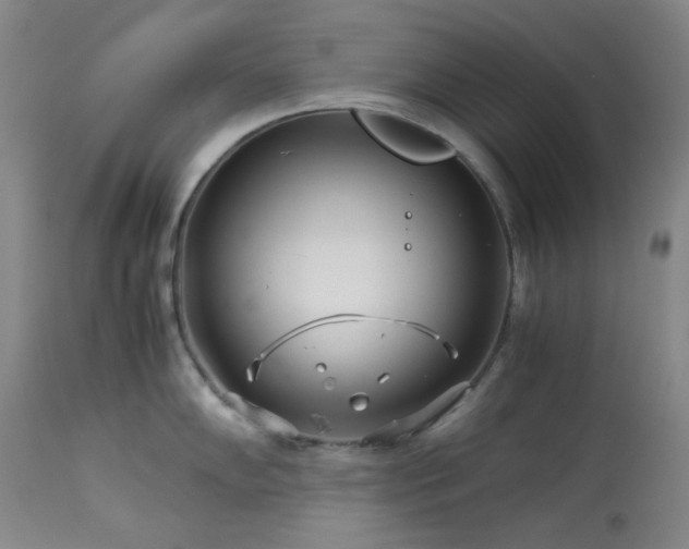 X0000113991102200910021216