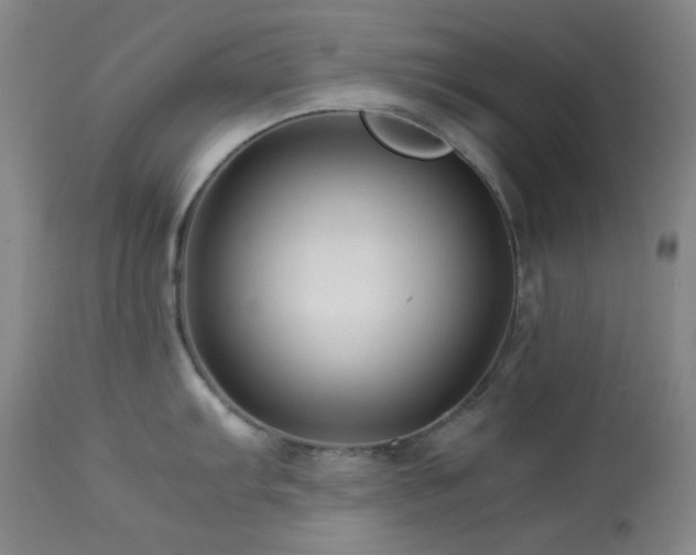 X0000113991103200910021216