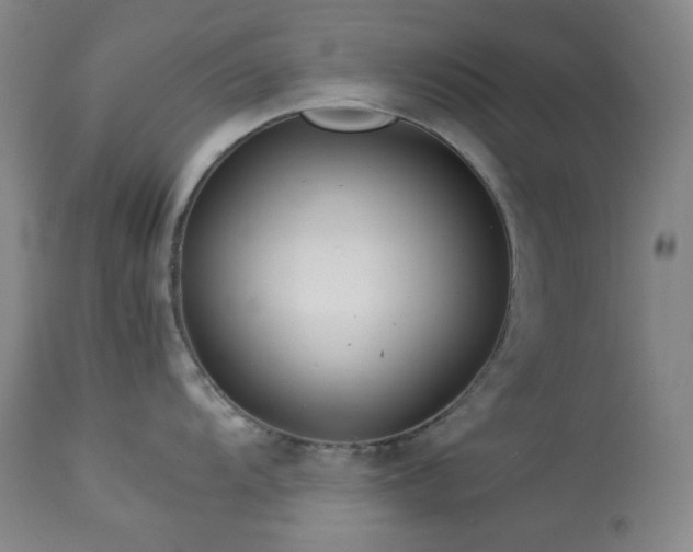 X0000113991104200910021216