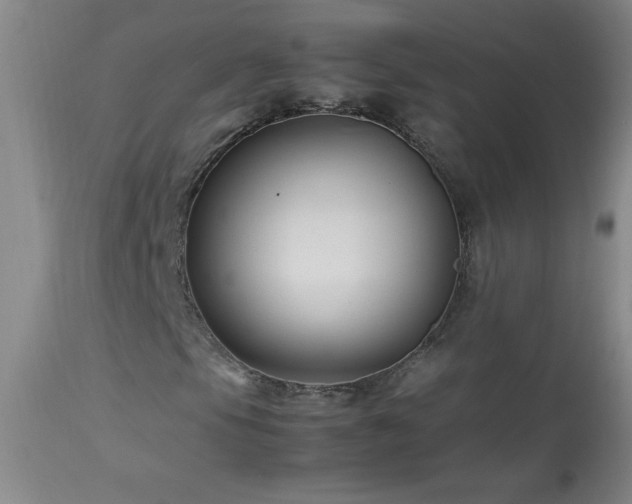 X0000113991105200910021215