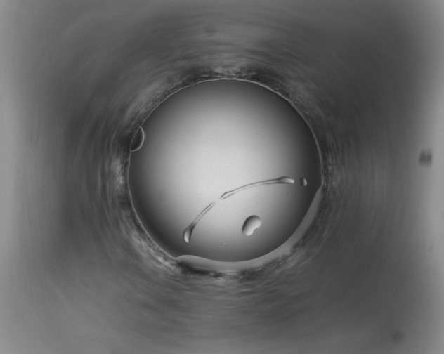 X0000113991106200910021215