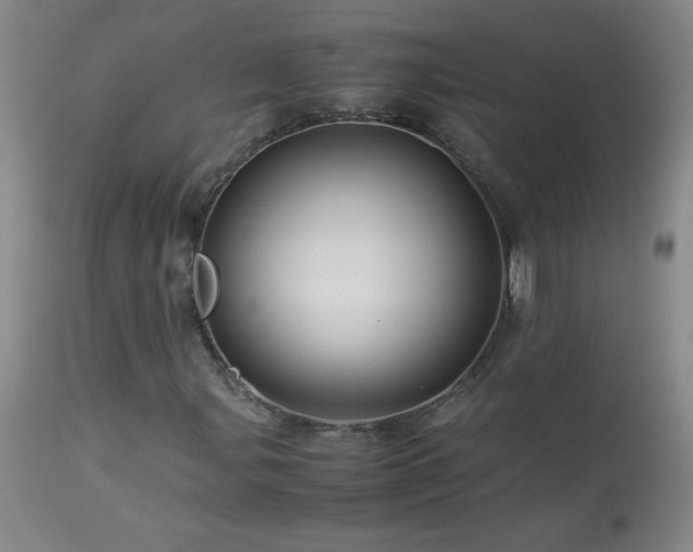 X0000113991107200910021215