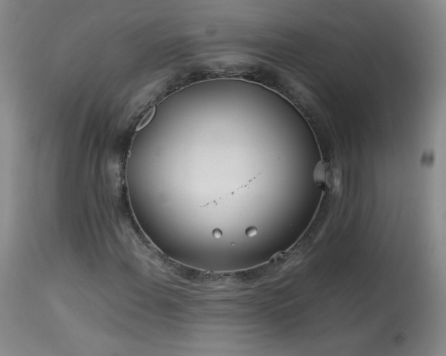 X0000113991108200910021215