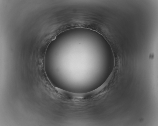 X0000113991109200910021216