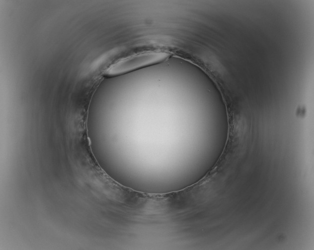 X0000113991110200910021216