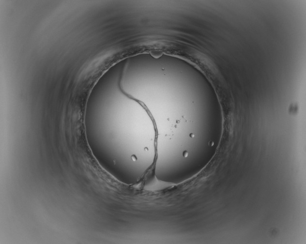 X0000113991111200910021216